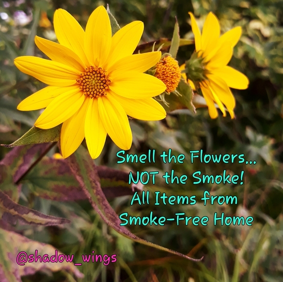 Shop Policies: Shadow Wings - Picture 3 of 9